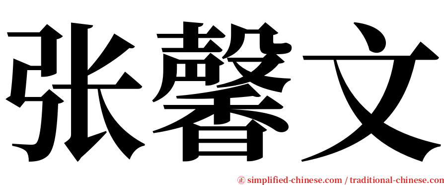 张馨文 serif font