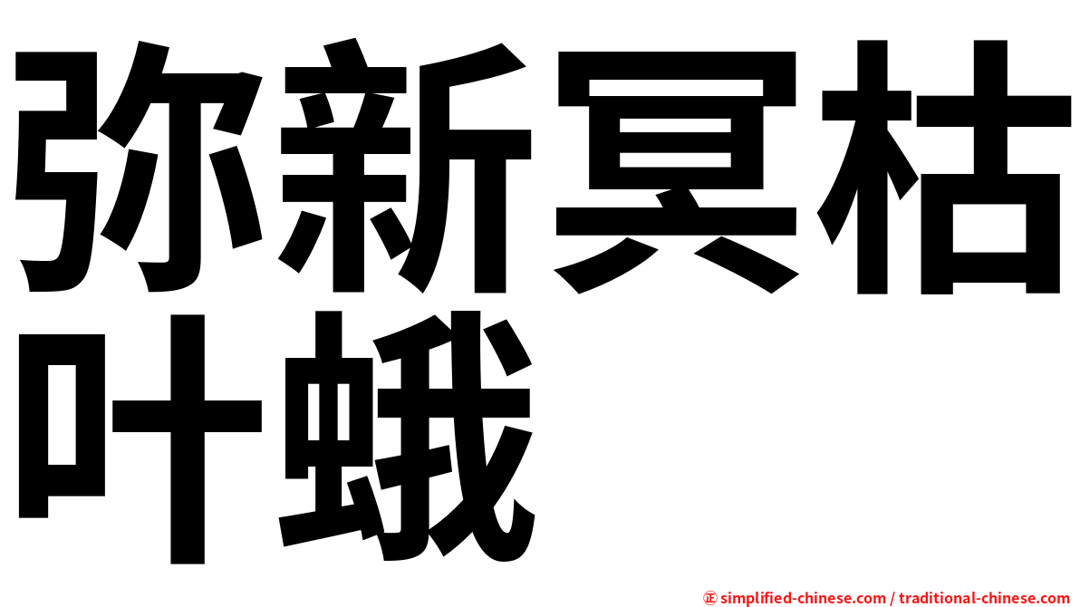 弥新冥枯叶蛾