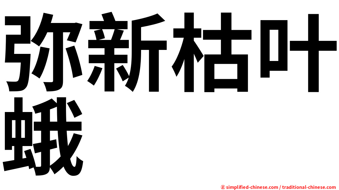 弥新枯叶蛾