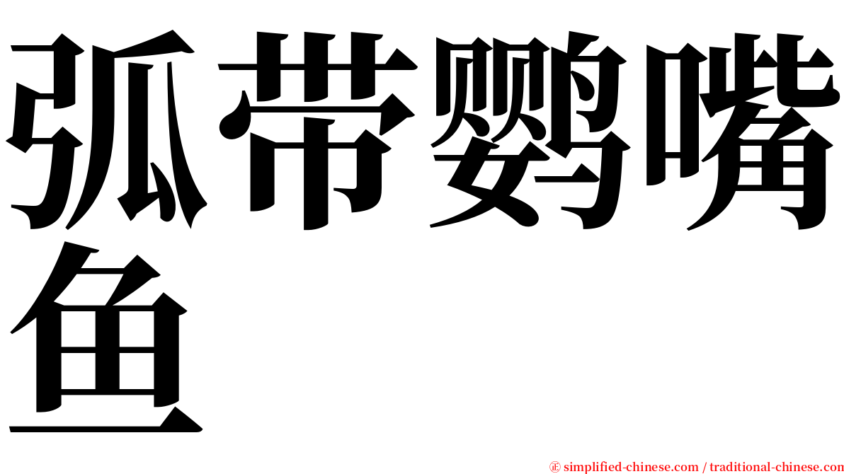 弧带鹦嘴鱼 serif font