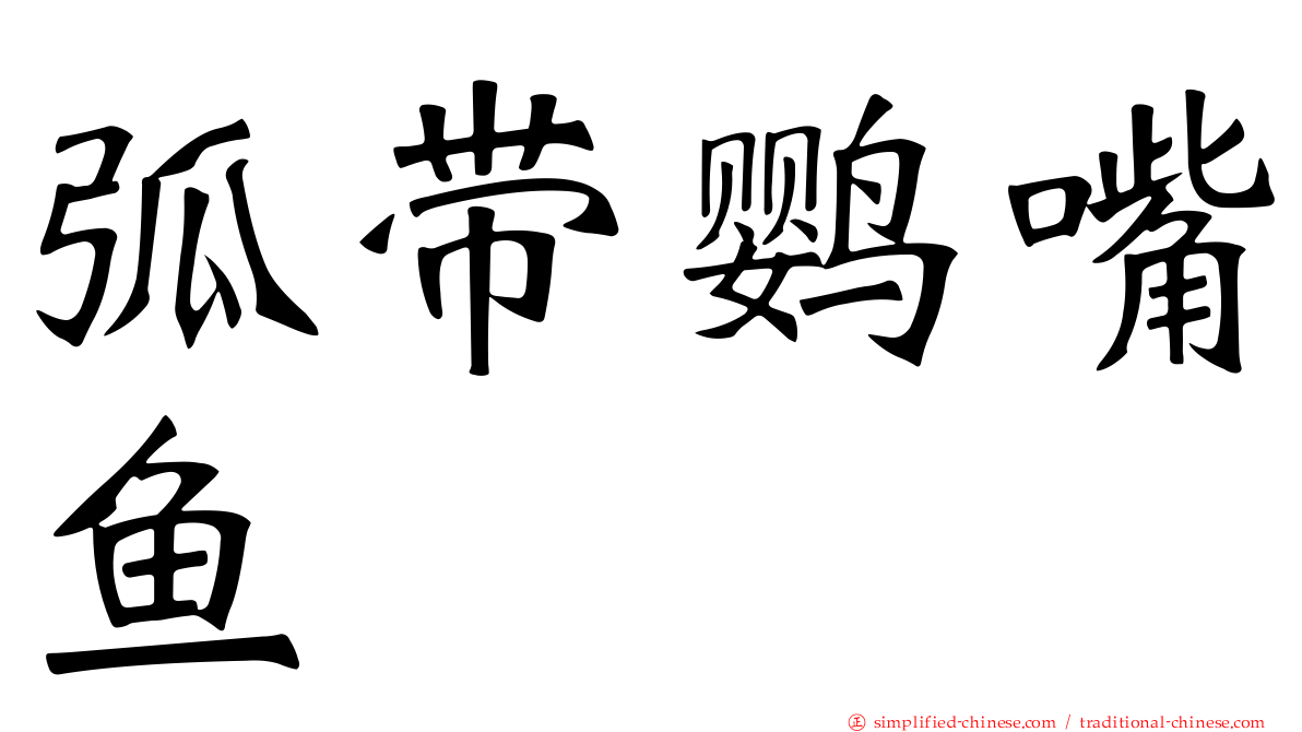 弧带鹦嘴鱼