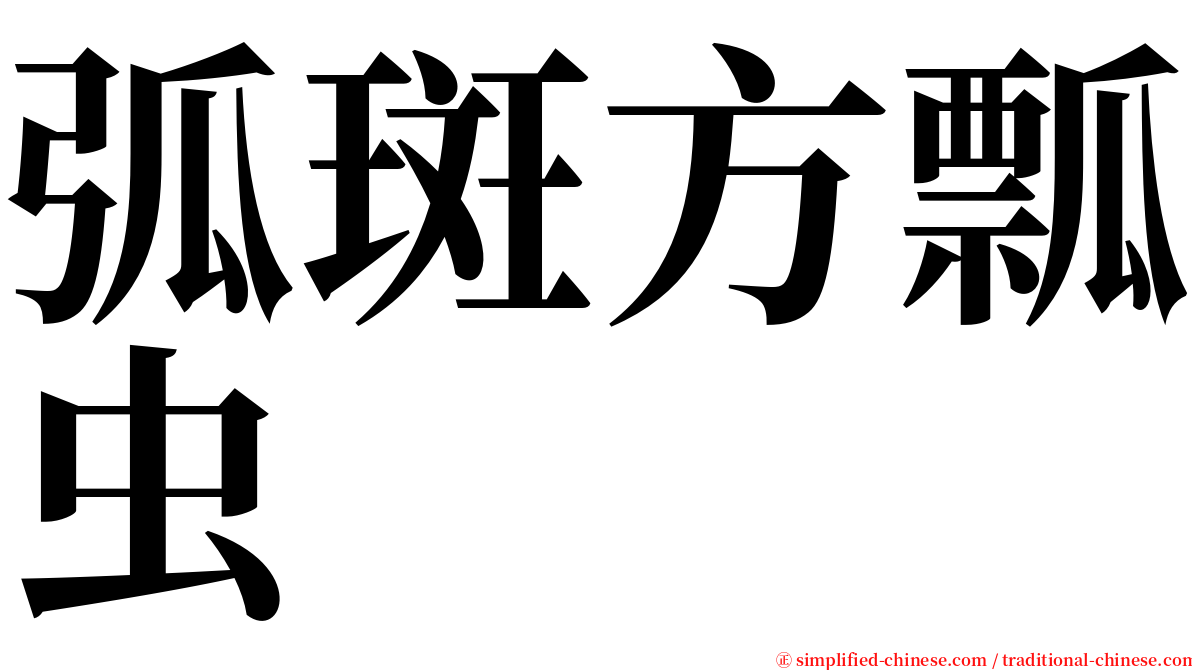 弧斑方瓢虫 serif font