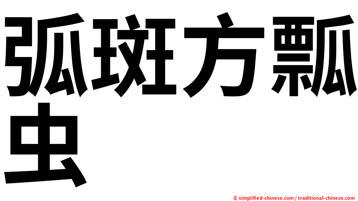 弧斑方瓢虫