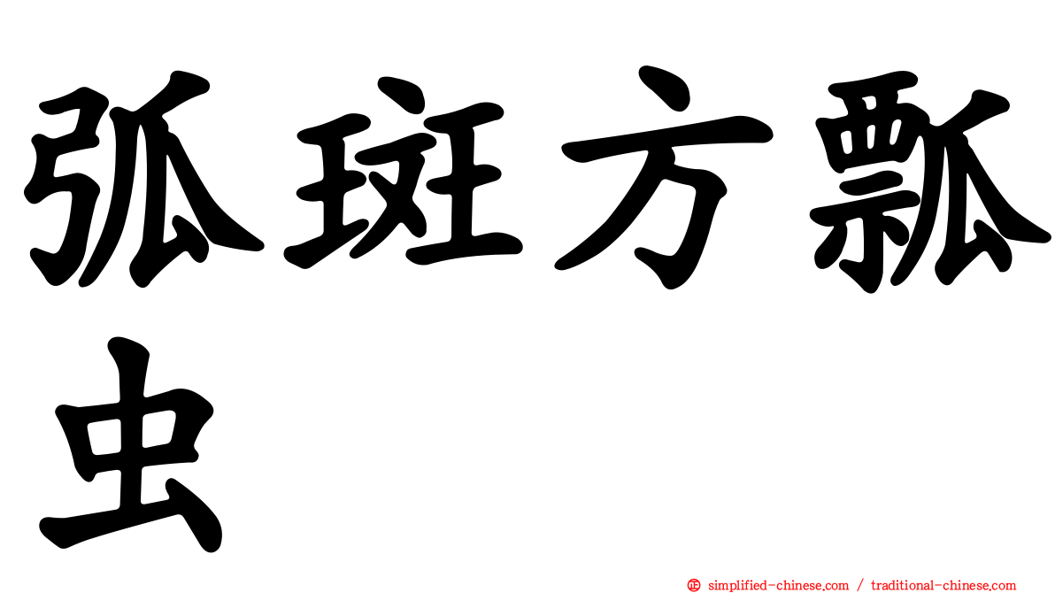 弧斑方瓢虫