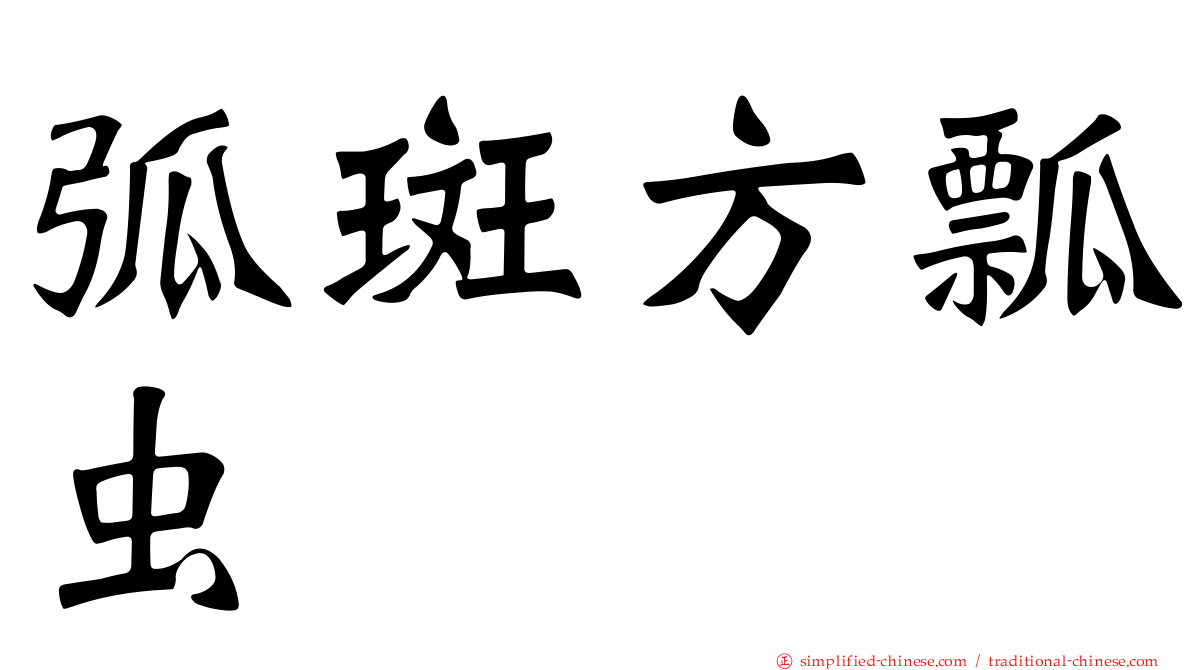 弧斑方瓢虫