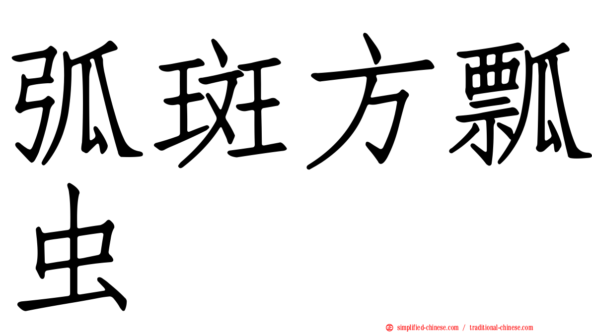 弧斑方瓢虫