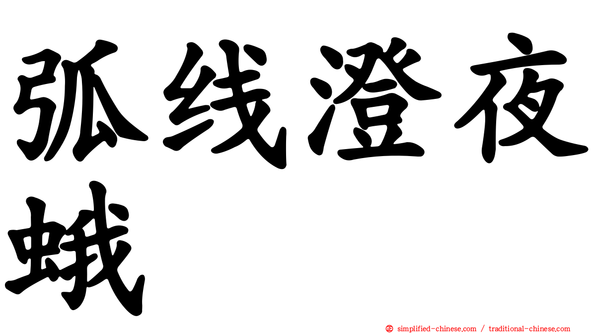 弧线澄夜蛾