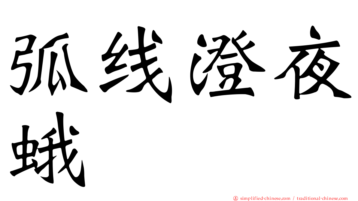 弧线澄夜蛾