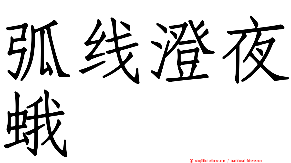 弧线澄夜蛾