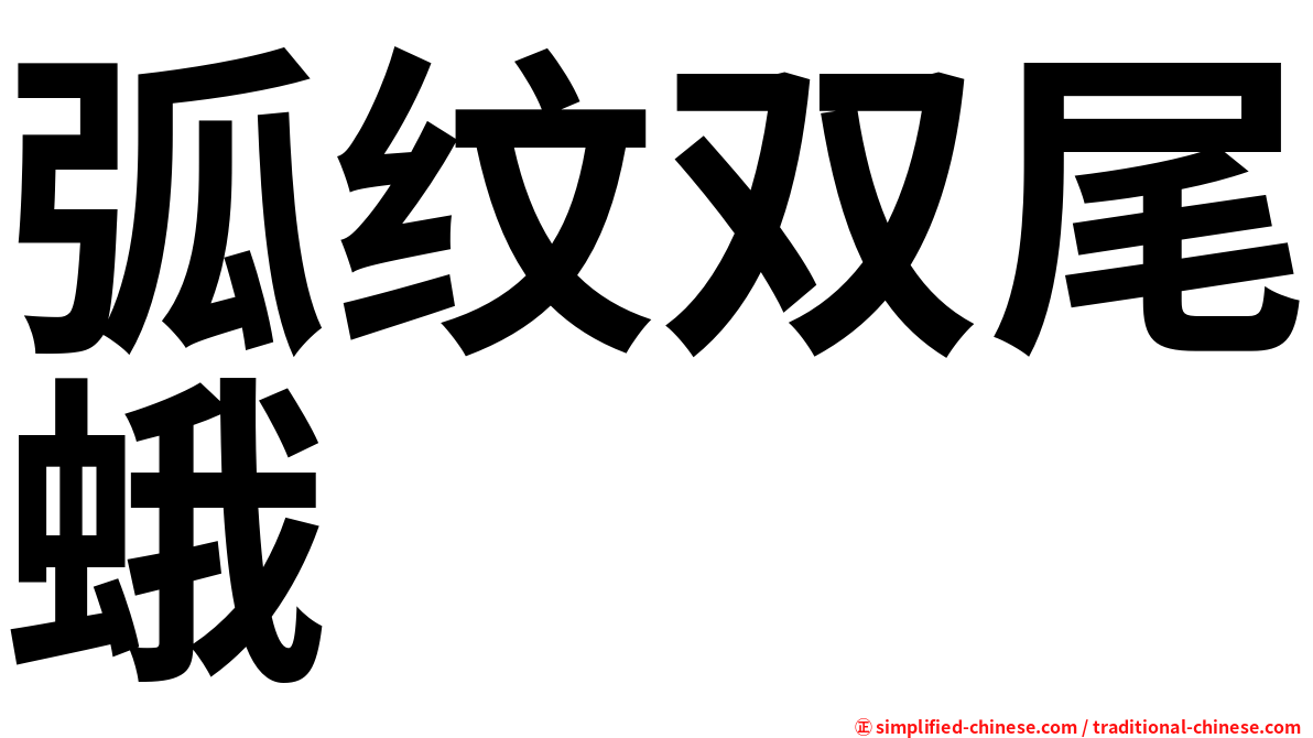 弧纹双尾蛾