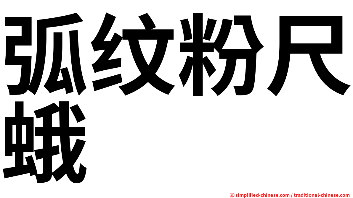 弧纹粉尺蛾