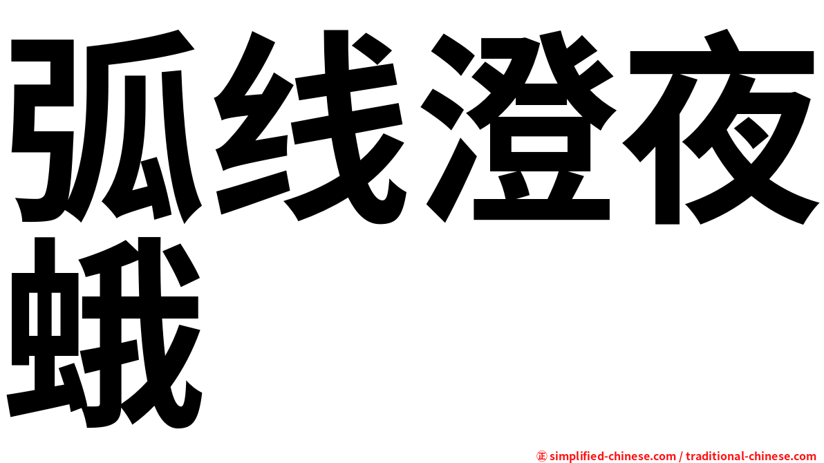 弧线澄夜蛾