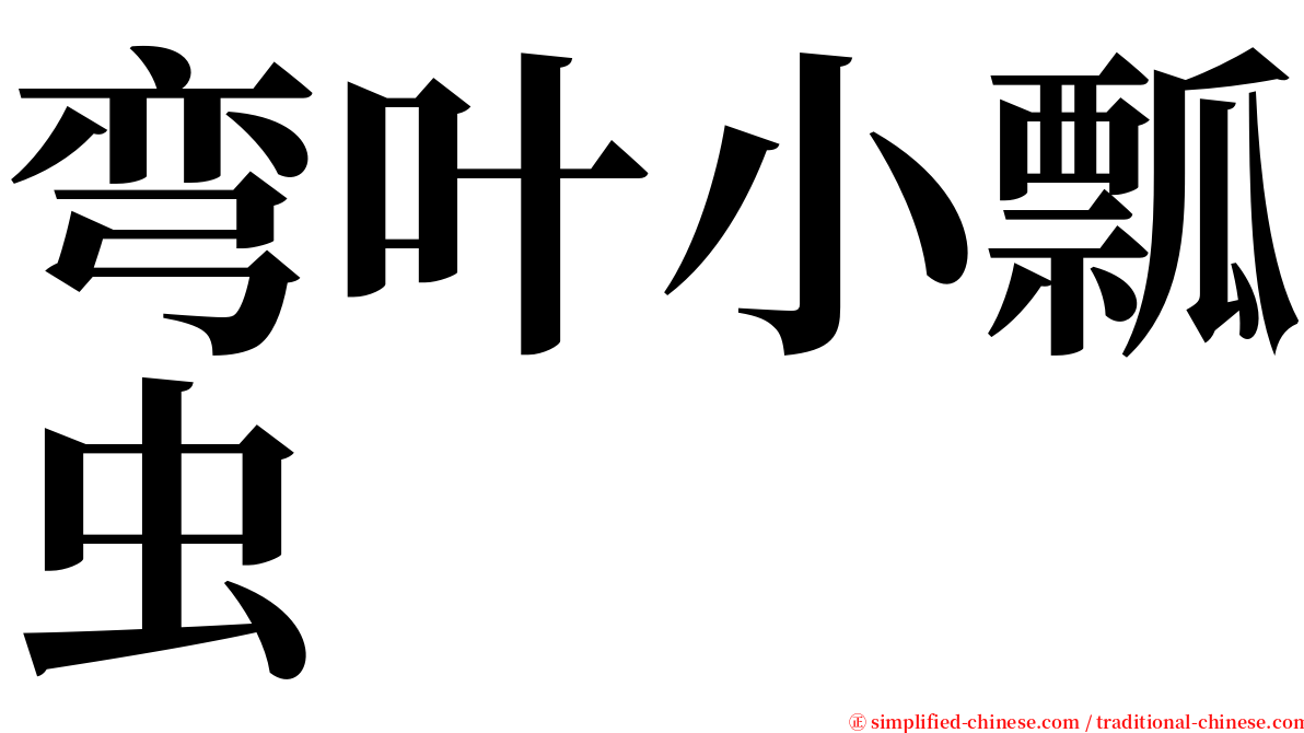 弯叶小瓢虫 serif font
