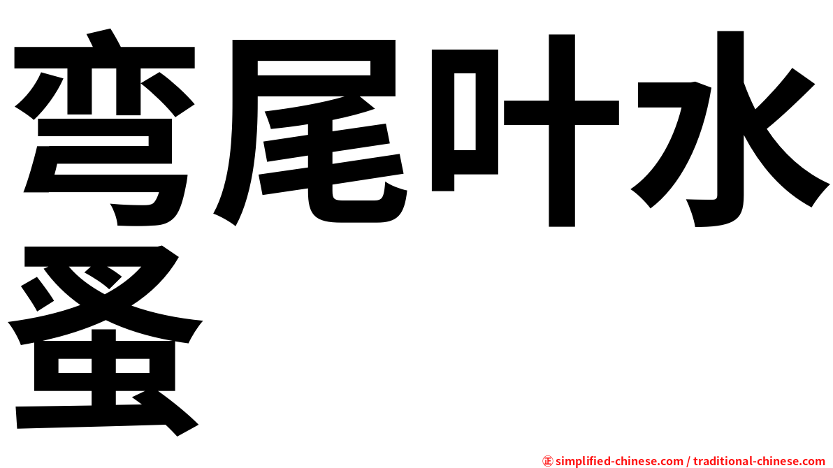 弯尾叶水蚤