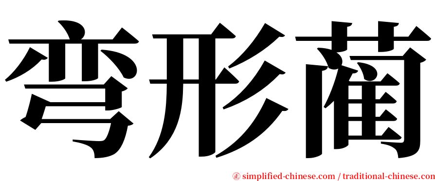 弯形蔺 serif font