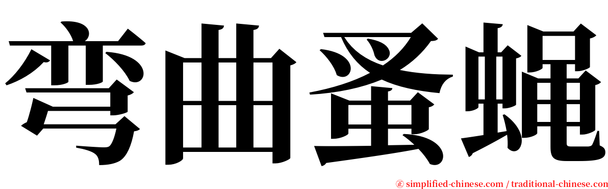 弯曲蚤蝇 serif font