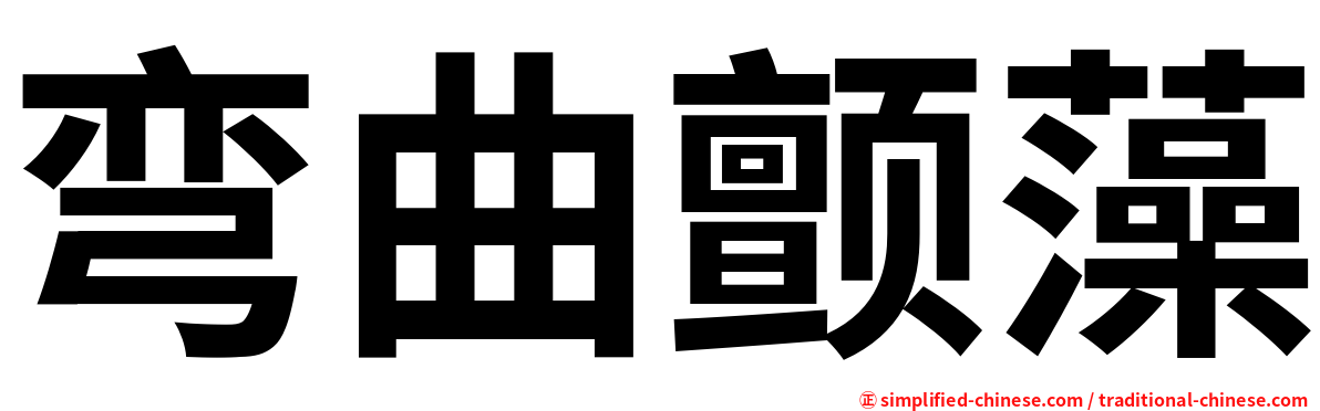弯曲颤藻