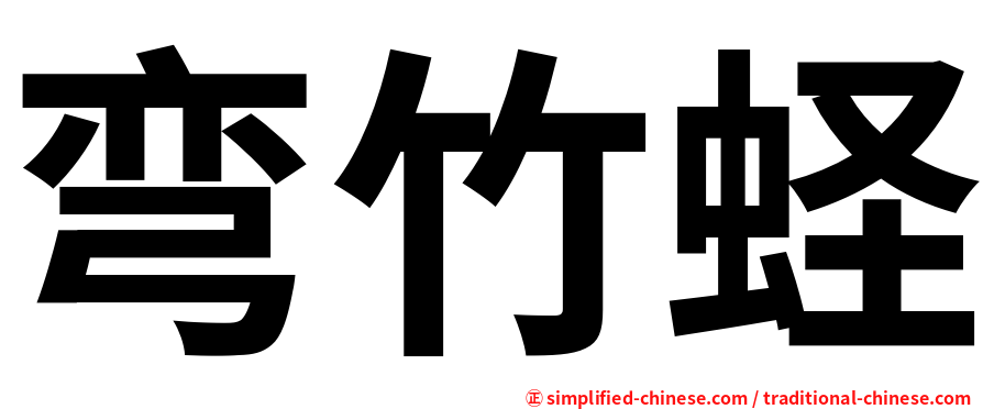 弯竹蛏