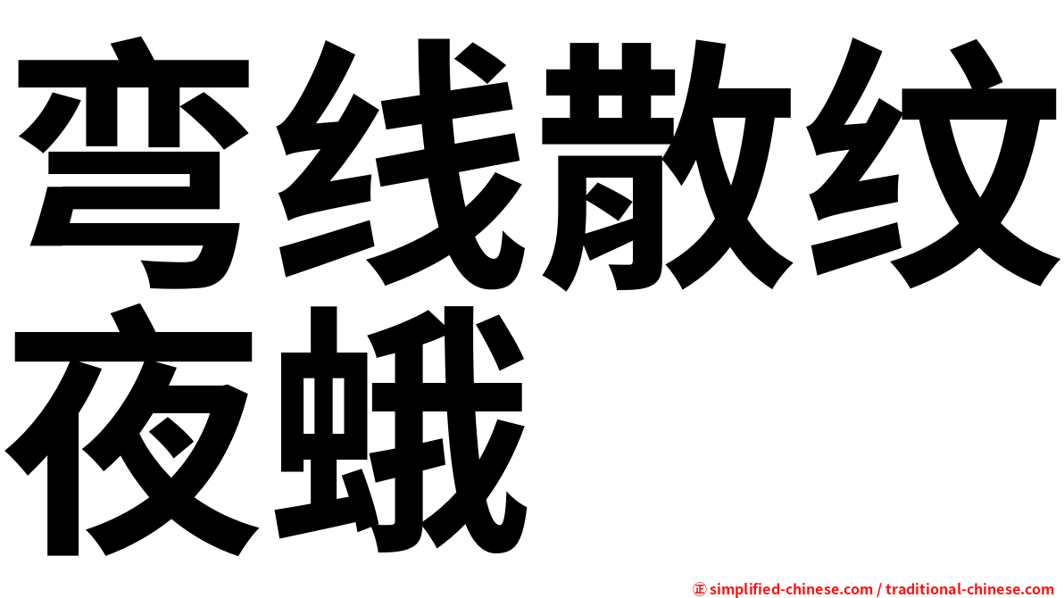 弯线散纹夜蛾