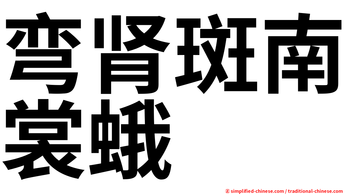 弯肾斑南裳蛾