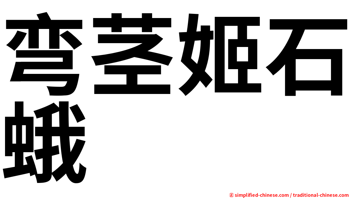 弯茎姬石蛾