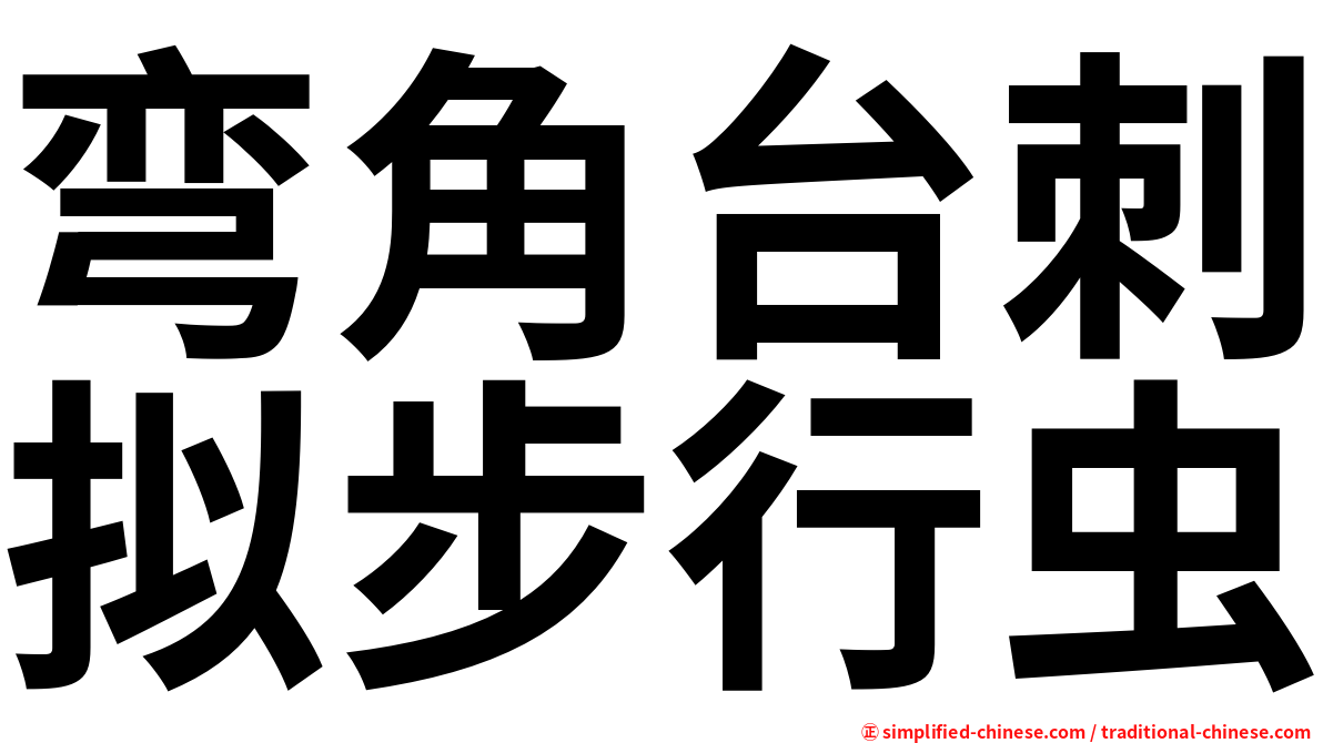弯角台刺拟步行虫
