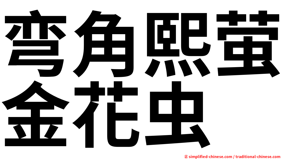 弯角熙萤金花虫