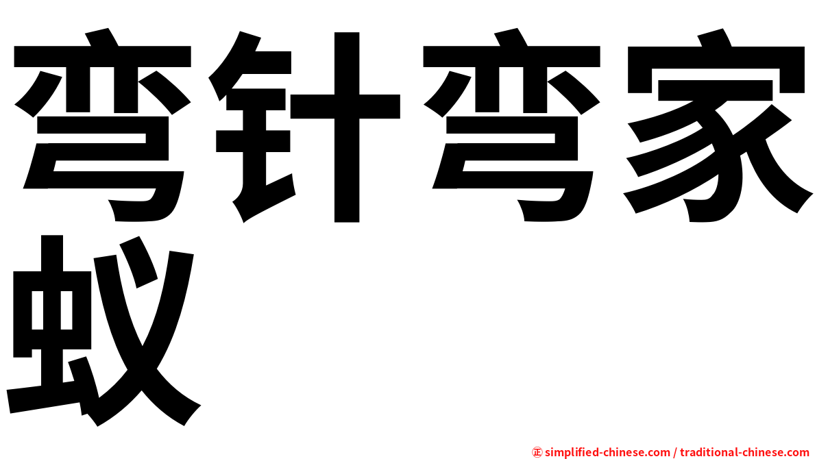 弯针弯家蚁