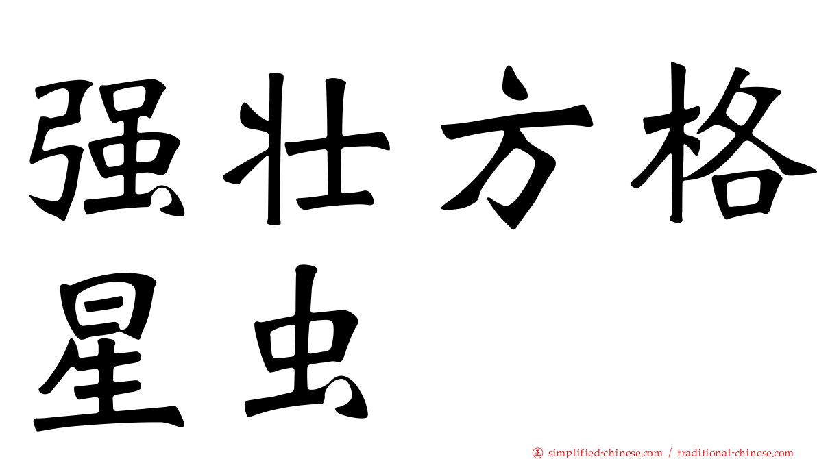 强壮方格星虫