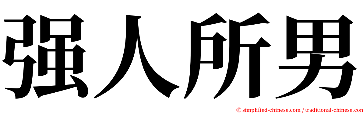强人所男 serif font