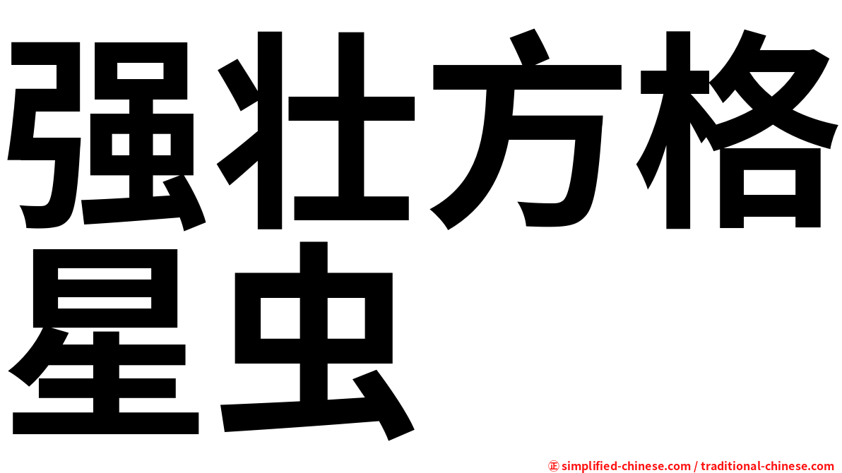 强壮方格星虫