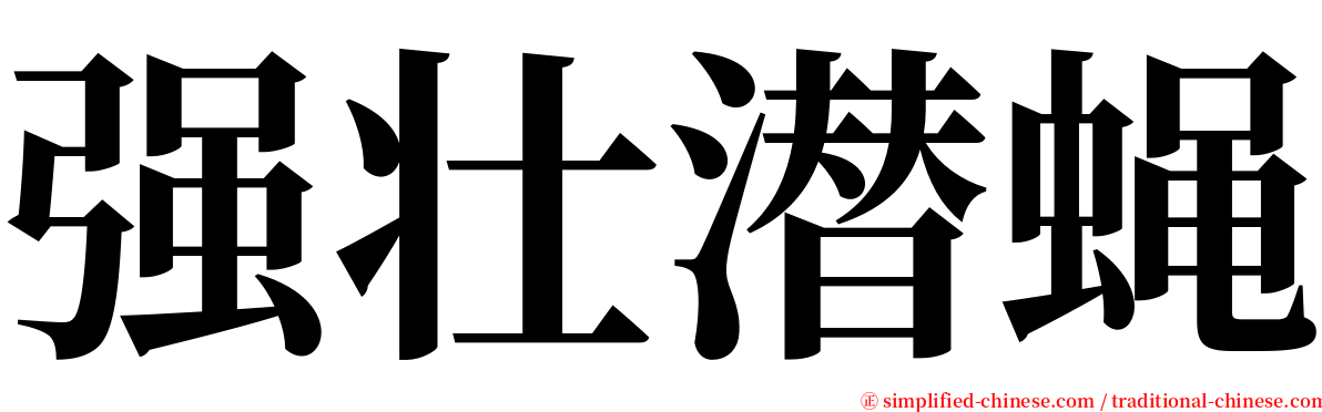 强壮潜蝇 serif font