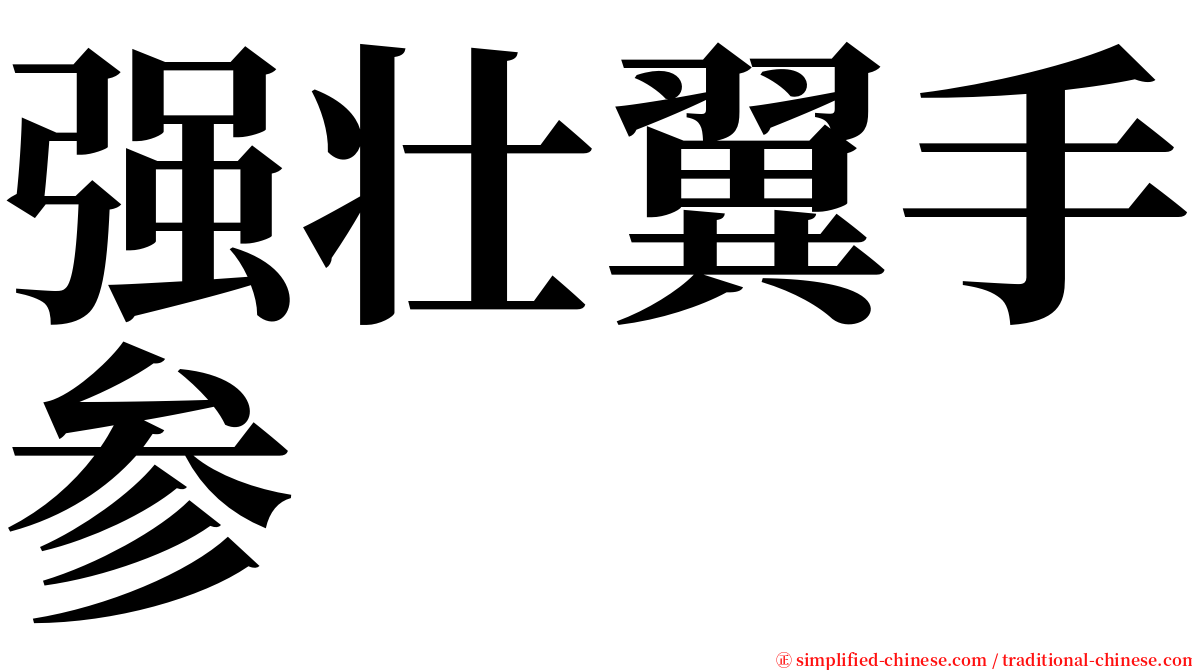 强壮翼手参 serif font
