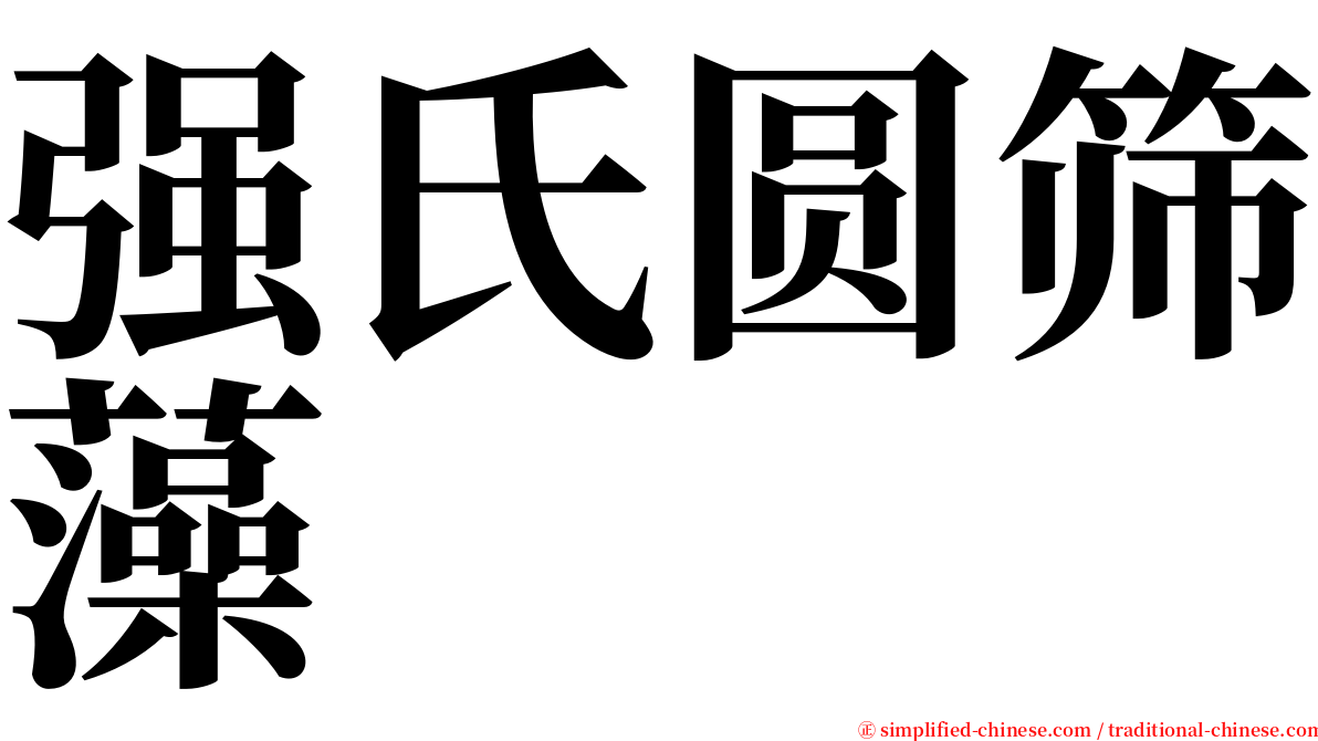 强氏圆筛藻 serif font