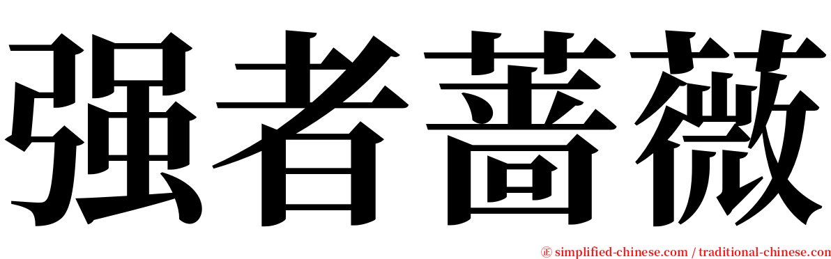 强者蔷薇 serif font