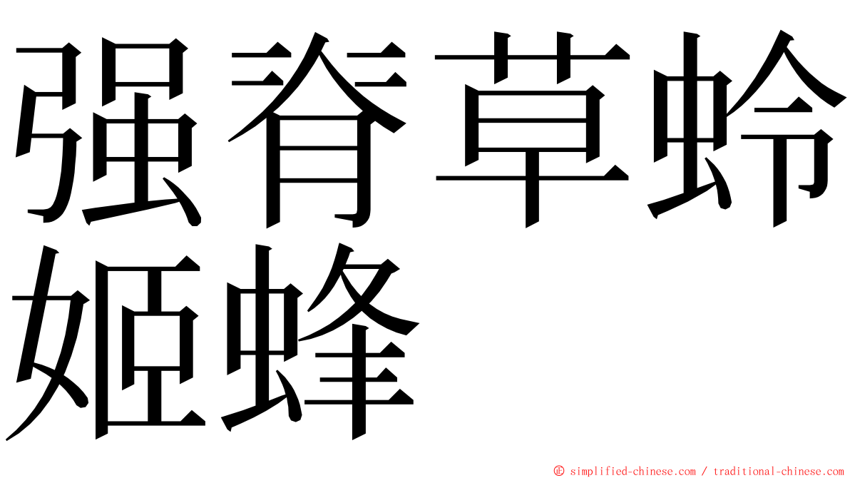 强脊草蛉姬蜂 ming font