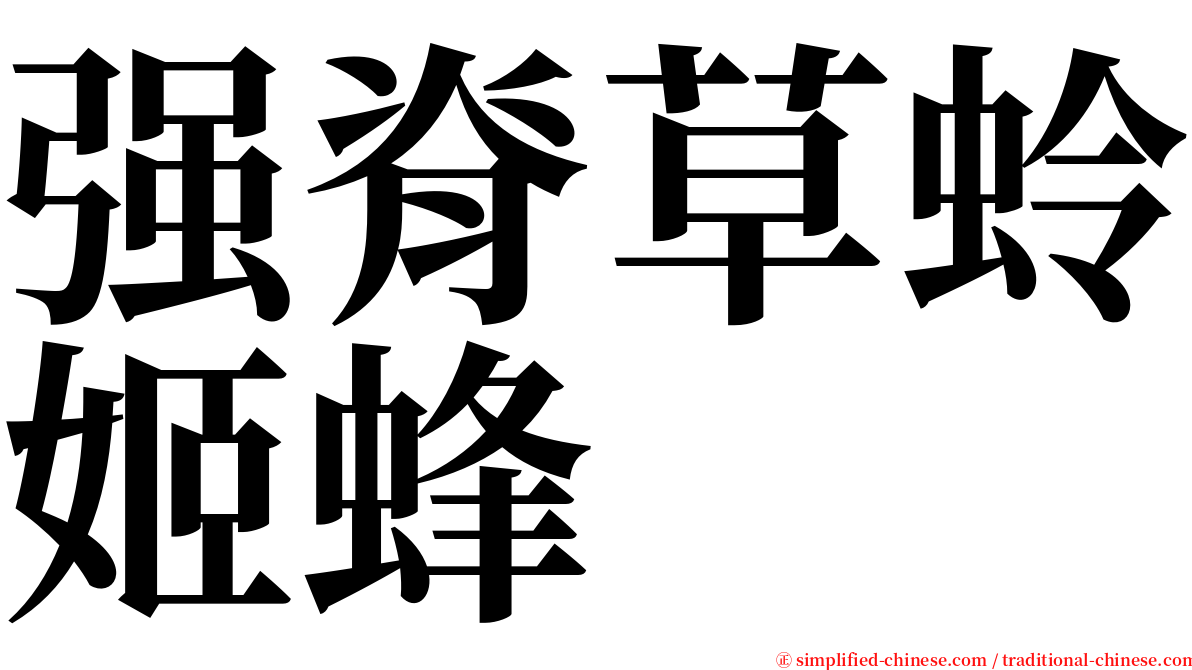 强脊草蛉姬蜂 serif font