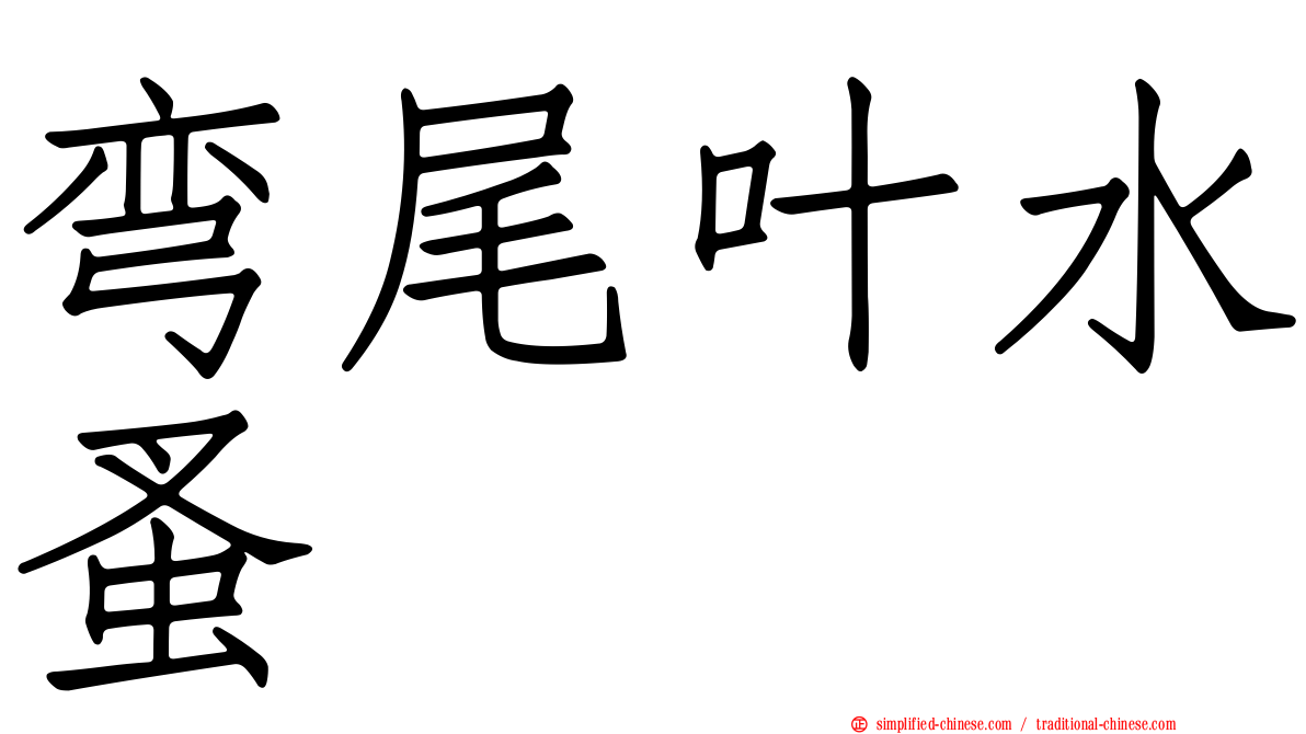 弯尾叶水蚤