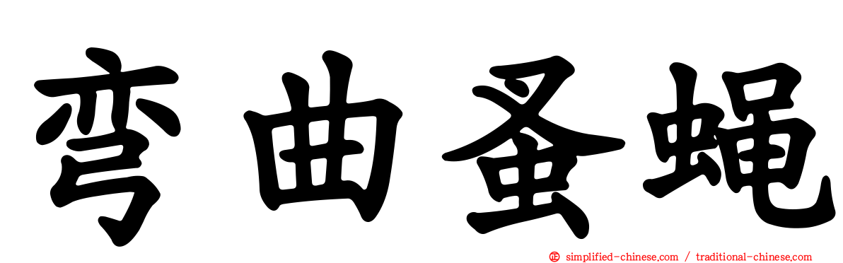 弯曲蚤蝇