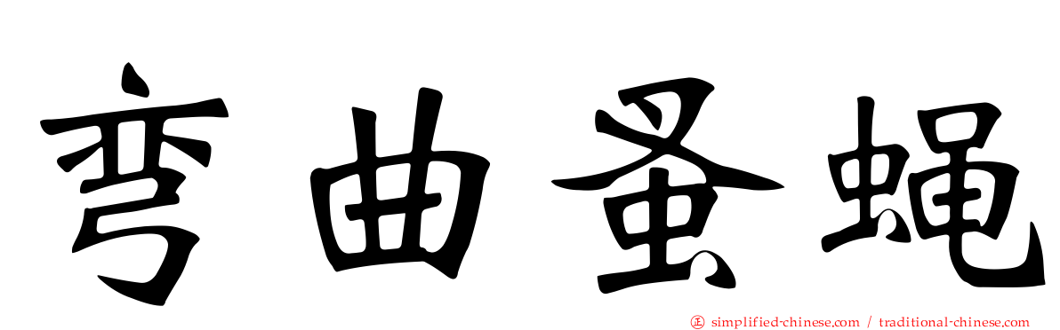 弯曲蚤蝇
