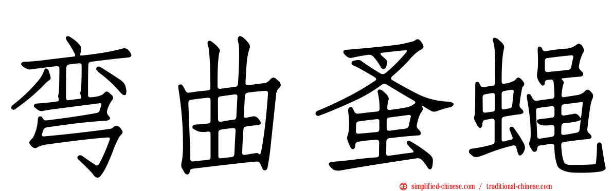 弯曲蚤蝇