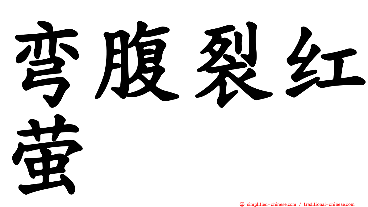弯腹裂红萤