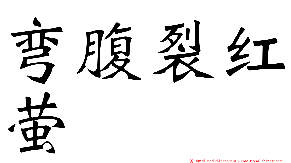 弯腹裂红萤