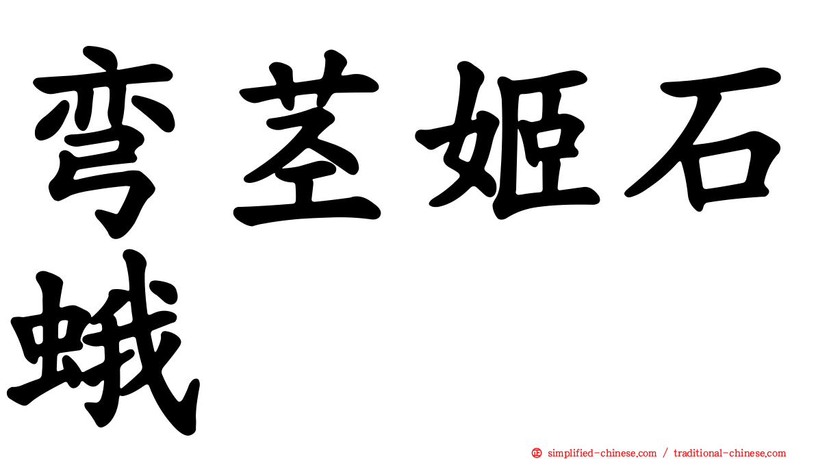 弯茎姬石蛾