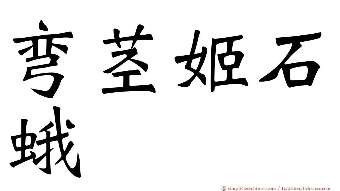 弯茎姬石蛾