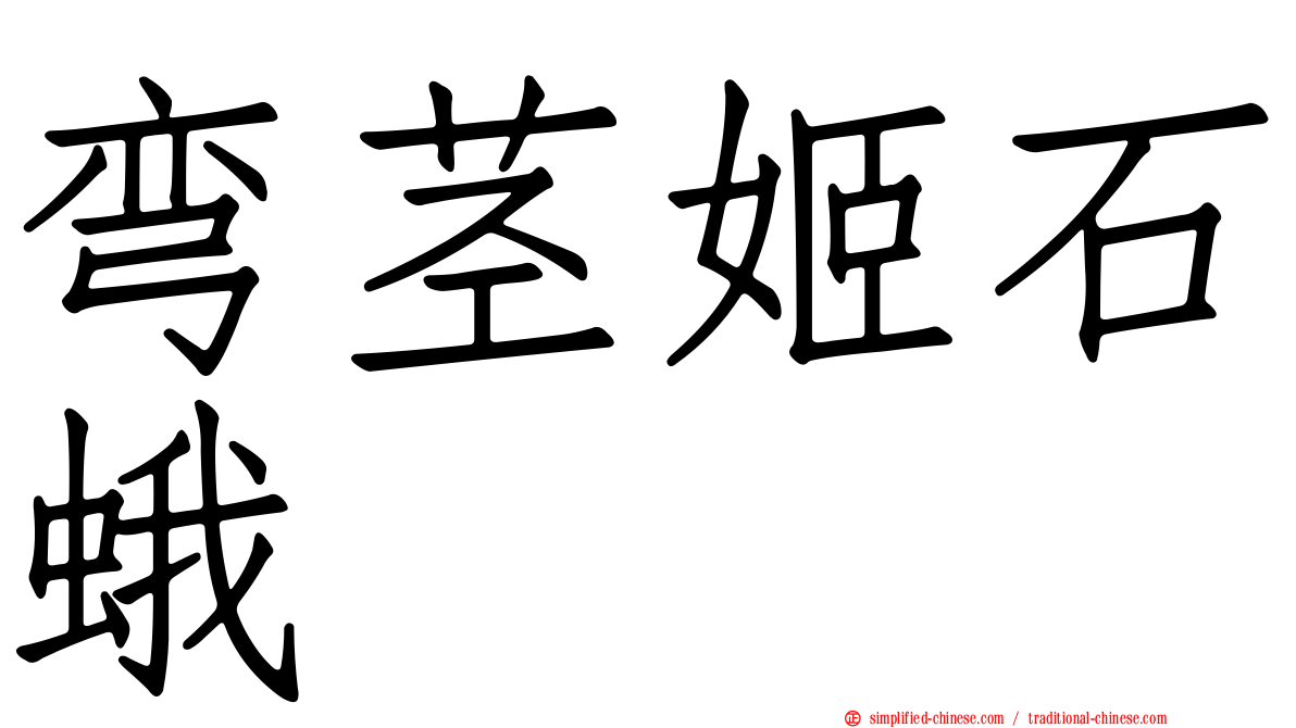 弯茎姬石蛾