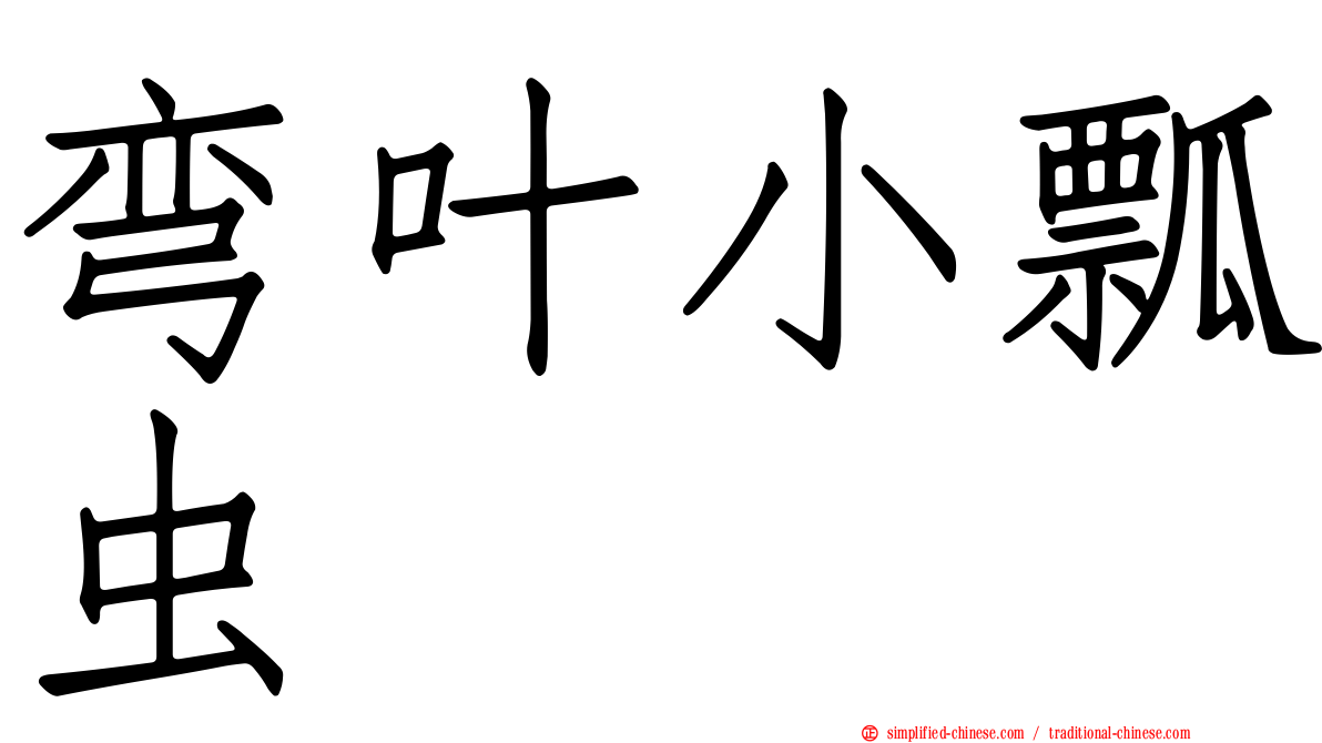弯叶小瓢虫