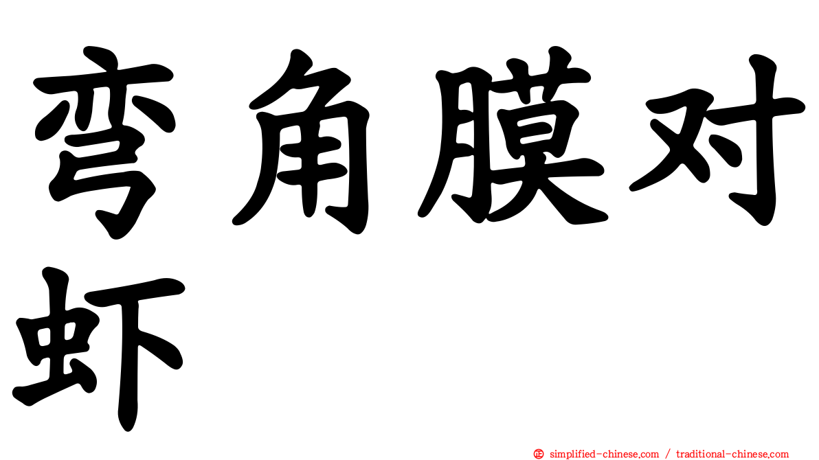 弯角膜对虾
