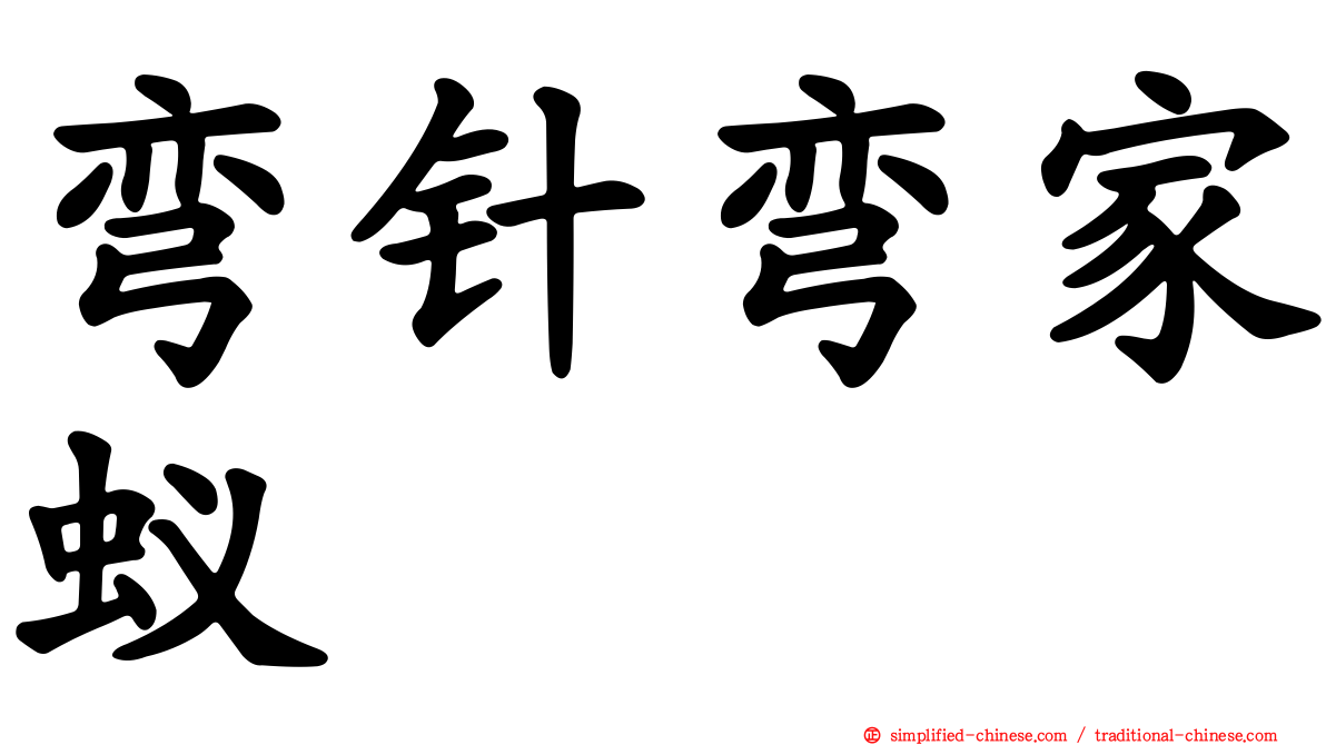 弯针弯家蚁