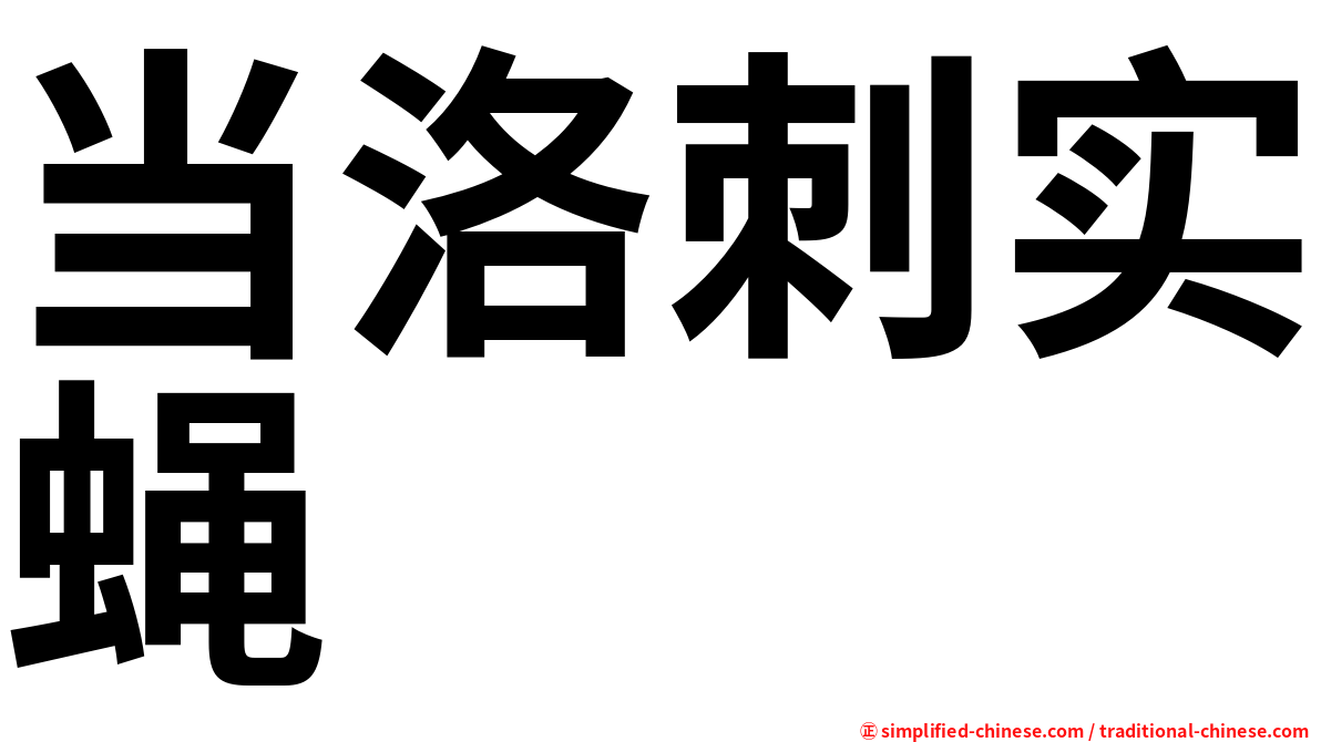 当洛刺实蝇